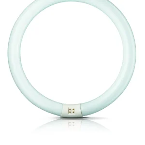 Leuchtstofflampe Ringform 22 W T9 865 G10q Philips Master Versand Am Gleichen Tag