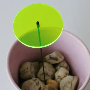 Neuheit Fluo Scheibe midi, 6 cm grün mit Stab