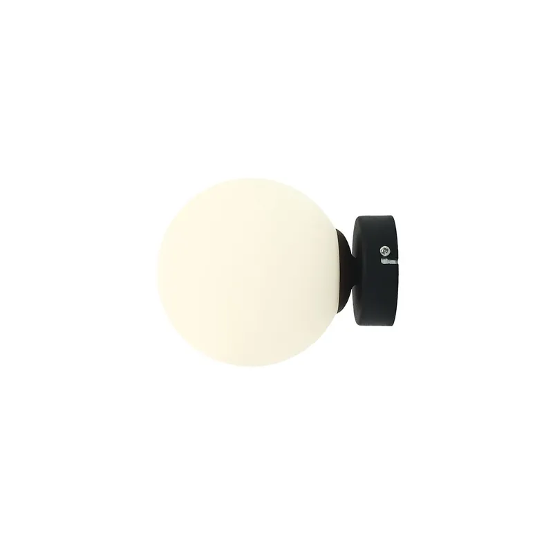 Echt BALL black S 1076C1_S Aldex